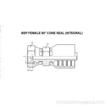 BSE integrale BSP femmina a 60 ° cono 22611-F